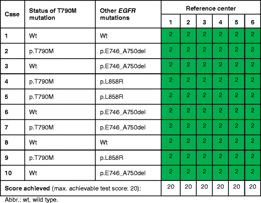 EGFR T790M mutation testing of non-small cell lung cancer tissue and
