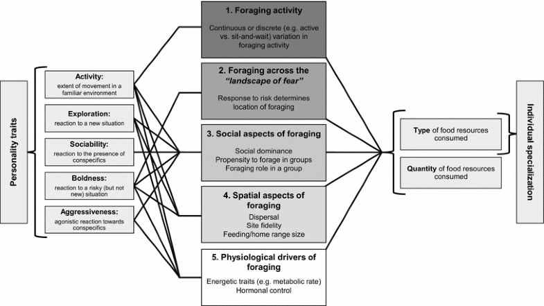 what is the link between personality and food behavior