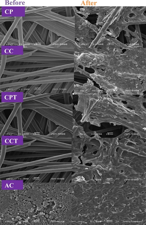 Granular activated carbon single chamber microbial fuel cells