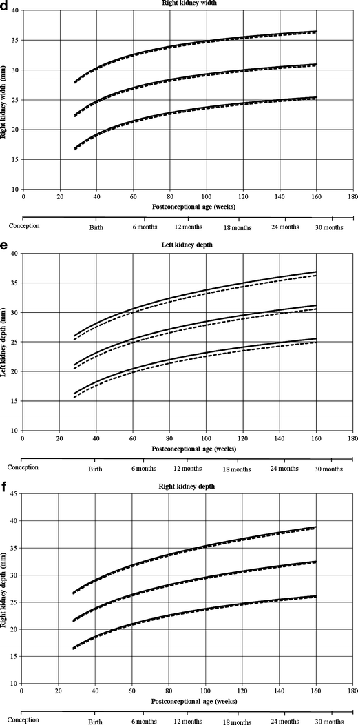 Kidney Growth Chart