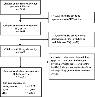 Pediatric Kidney Size Chart