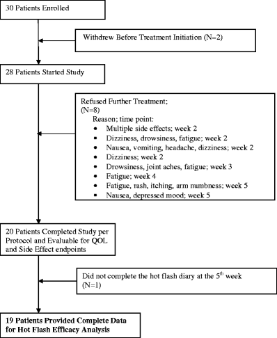 Levetiracetam For The Treatment Of Hot Flashes A Phase Ii Study