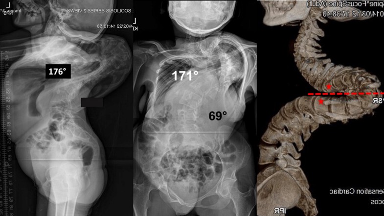 Fig. 7