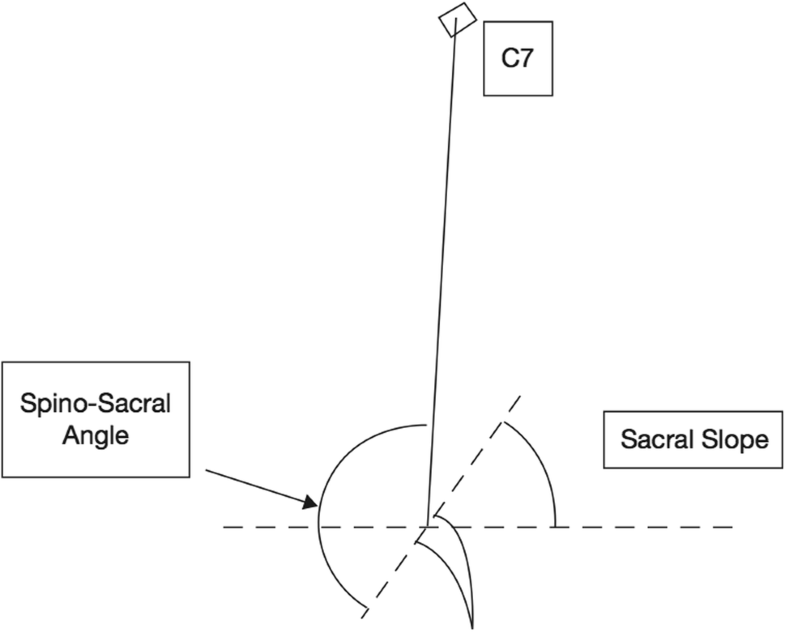 Fig. 15