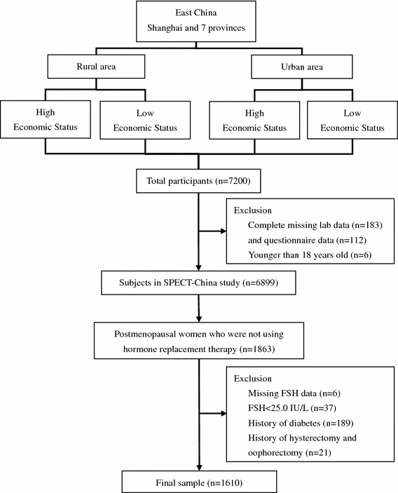 Fsh Levels And Menopause Chart