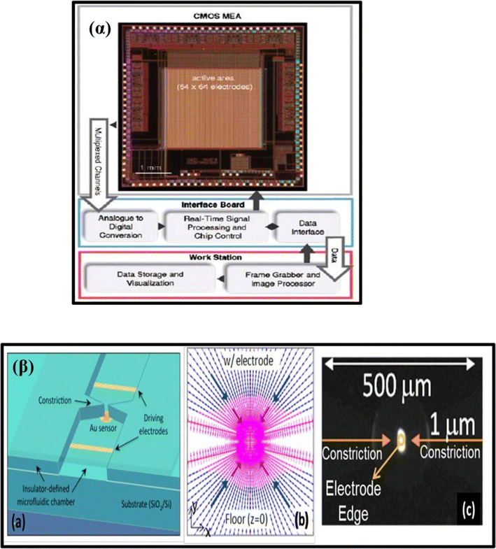 nanomaterial based electrochemical sensing