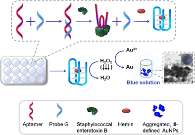 Graphical abstract