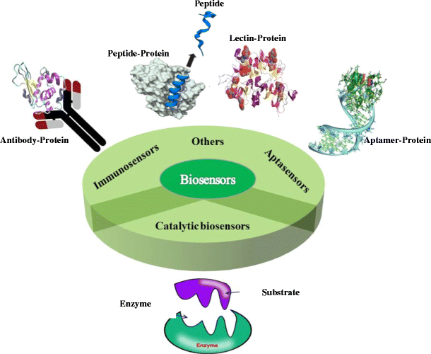 Advances in the design of nanomaterialbased electrochemical affinity