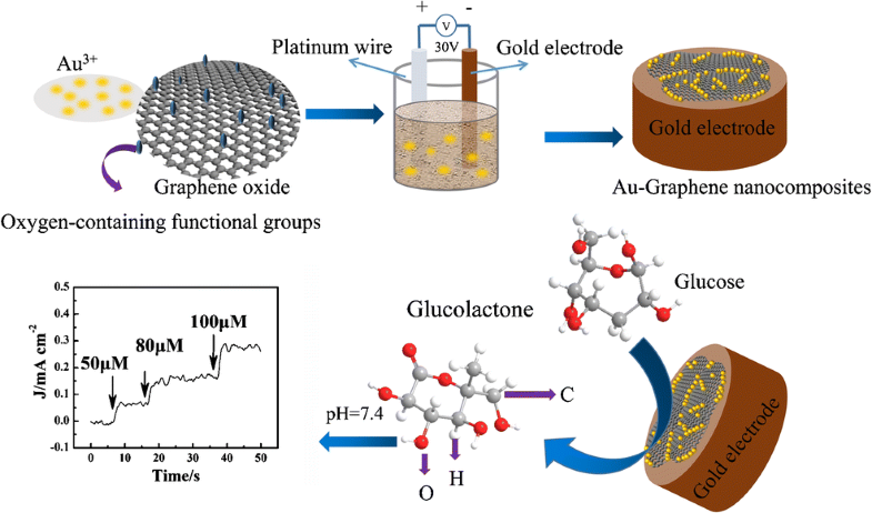 A gold electrode modified with a gold-graphene oxide nanocomposite for ...