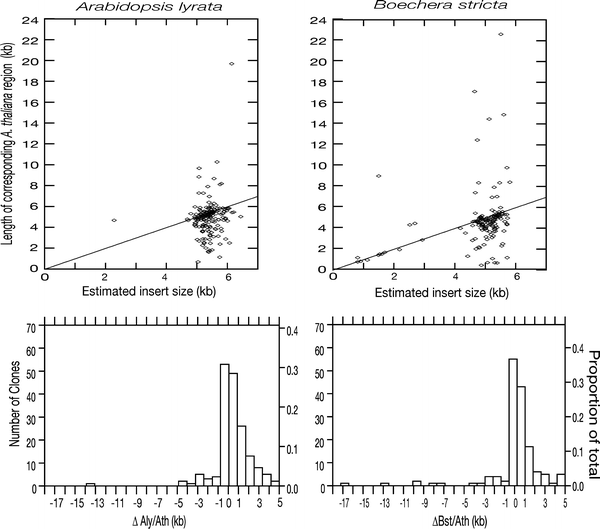 the shrunken genome of arabidopsis thaliana springerlink arabidopsis genome size