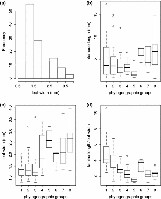 Morphological Variation Of Gentiana Section Chondrophyllae In South America And Taxonomic Implications Springerlink