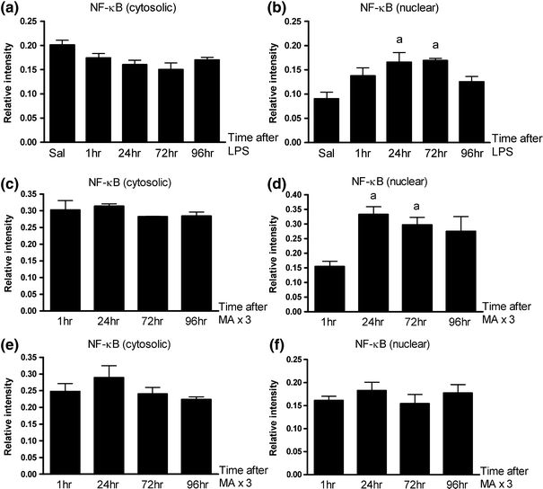 Lipopolysaccharide Mitagates Methamphetamine Induced Striatal