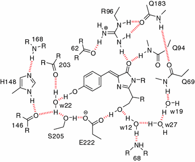 Absorption Tuning Of The Green Fluorescent Protein Chromophore Synthesis And Studies Of Model Compounds Springerlink