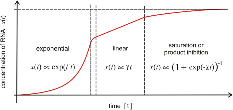 What is special about autocatalysis? | SpringerLink