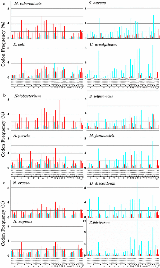 Codon Usage Chart