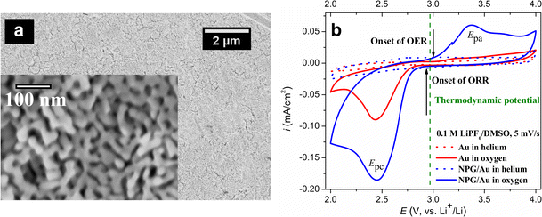 Electrochemically Synthesized Nanoporous Gold As A Cathode