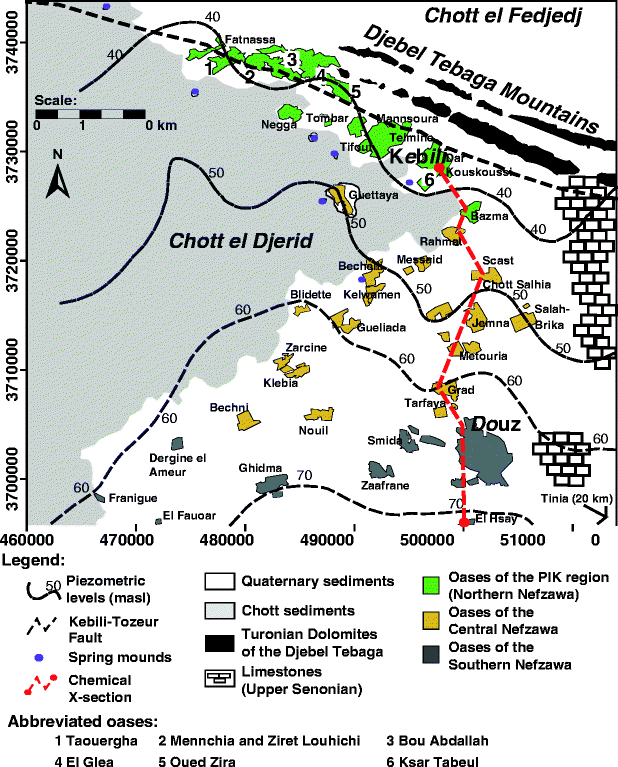 Salinization Of Groundwater In The Nefzawa Oases Region - 