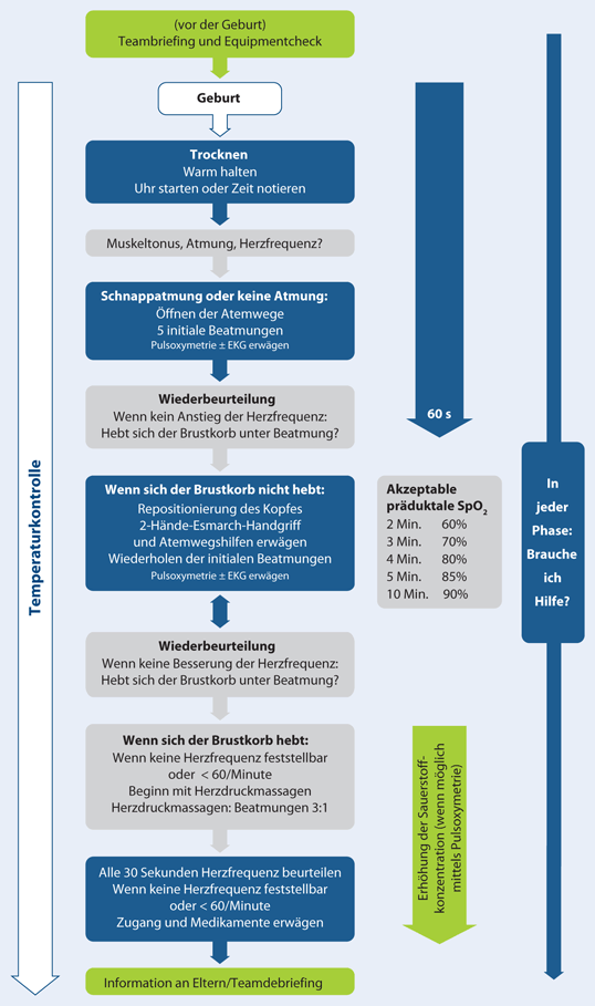 Die Versorgung und Reanimation des Neugeborenen | SpringerLink