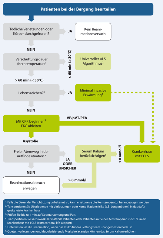 Kreislaufstillstand In Besonderen Situationen Springerlink