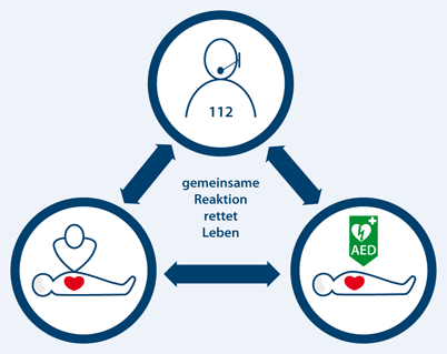 Kurzdarstellung Springerlink