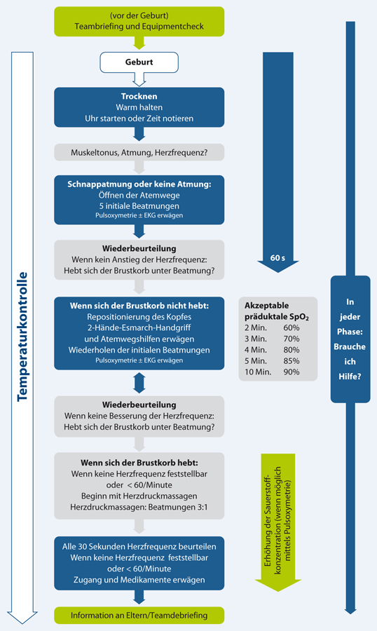 Kurzdarstellung Springerlink - 