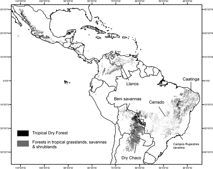 The Role Of Tropical Dry Forests For Biodiversity Carbon - 