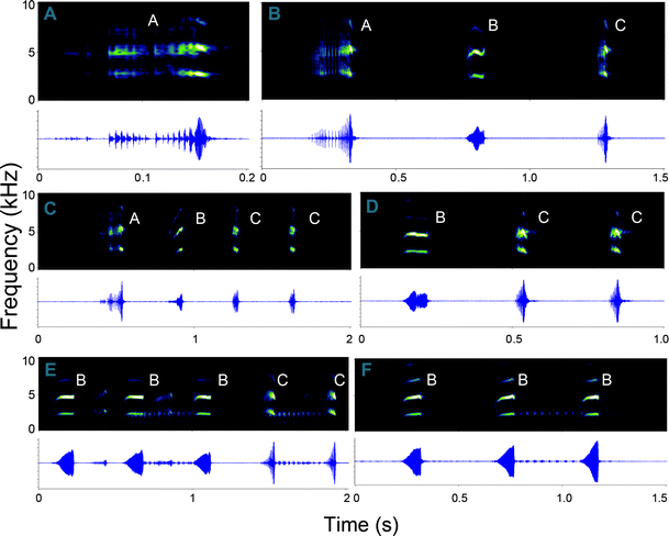 Basic instinct 2 torrent download italiano full Basic instinct 2 torrent download italiano full