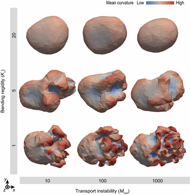 Fig. 8