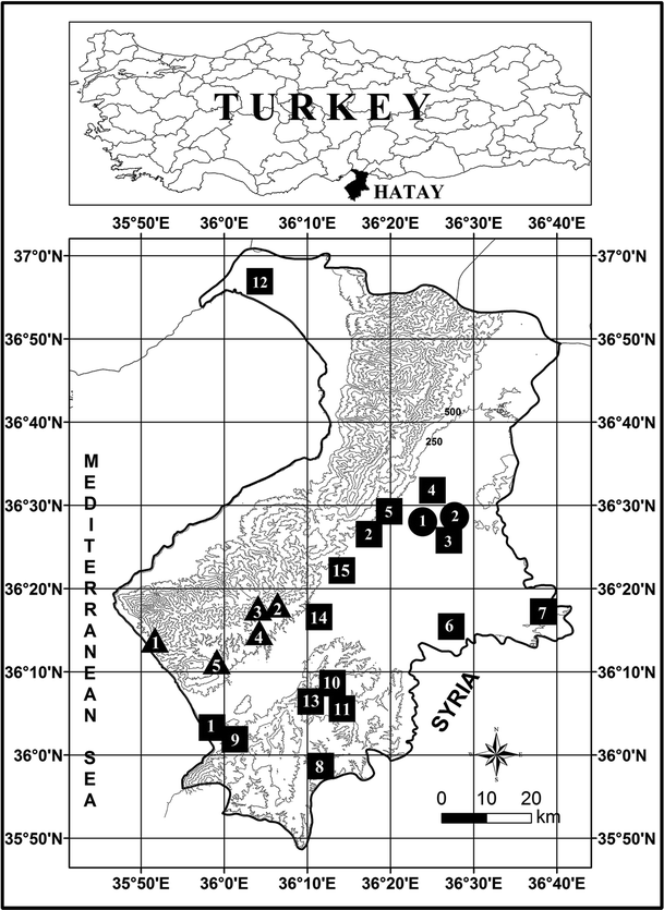 Molecular And Ecological Investigations On The Wild Populations Of Glycyrrhiza L Taxa Distributed In The East Mediterranean Area Of Turkey Springerlink