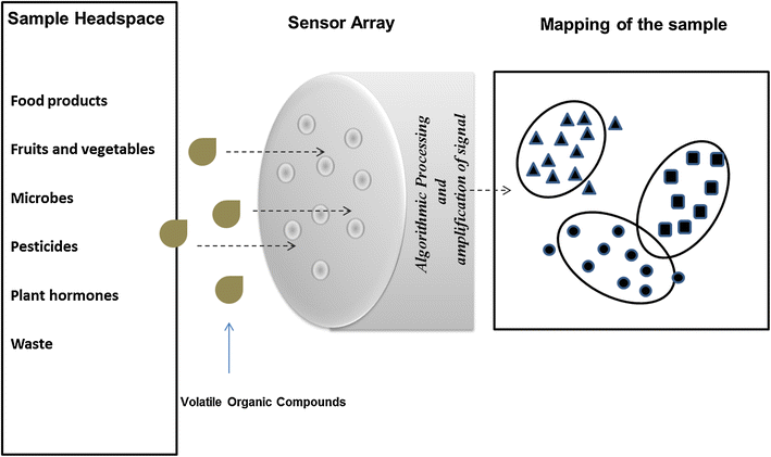 Nanosensors And Nanobiosensors In Food And Agriculture - 
