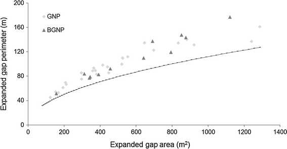 Gap dynamics in the Western Carpathian mixed beech old-growth forests  affected by spruce bark beetle outbreak | SpringerLink