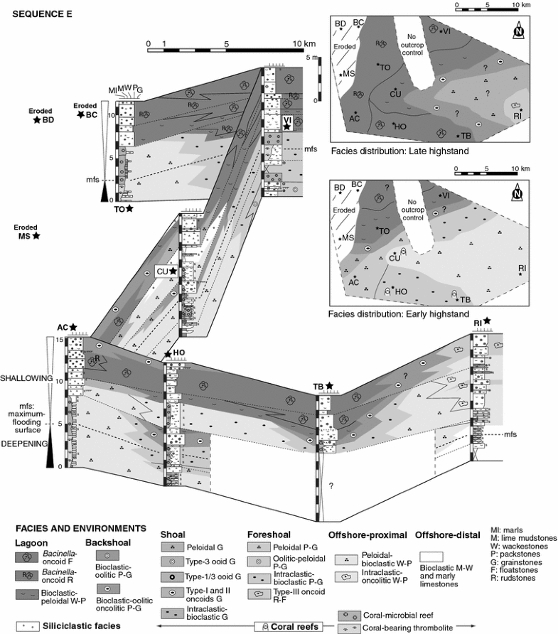 Facies models of a shallow-water carbonate ramp based on distribution ...