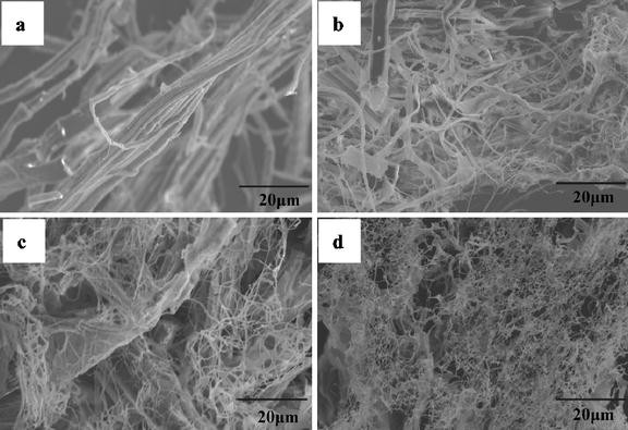 Study of Structural Morphology of Hemp Fiber from the Micro to the ...