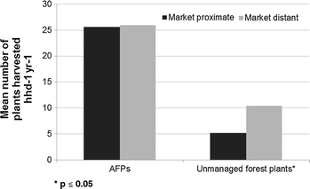 Revisiting Bora Fallow Agroforestry In The Peruvian Amazon - 