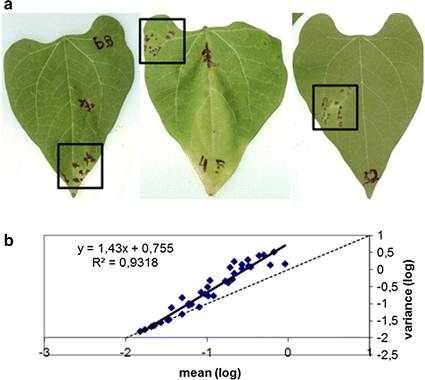 Virus-vector relationship in the Citrus leprosis pathosystem | SpringerLink