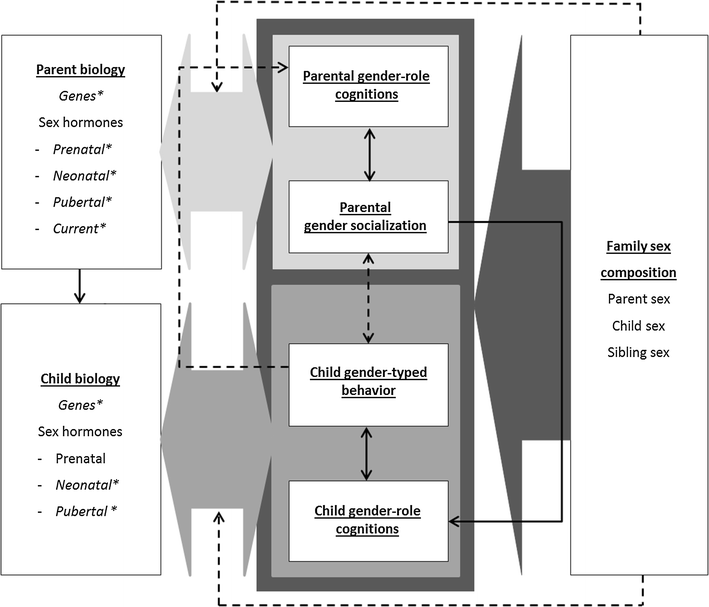 The Gendered Family Process Model An Integrative Framework - 