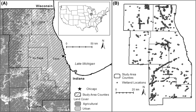 Free Download Program Illinois Urban Manual Drawings Of Trees