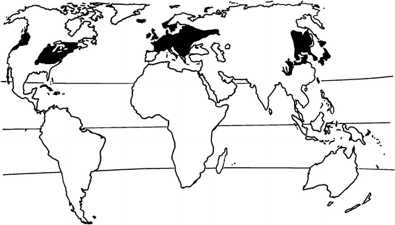 Disturbances in deciduous temperate forest ecosystems of the northern