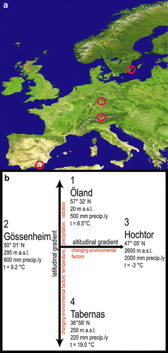Improved Appreciation Of The Functioning And Importance Of - 