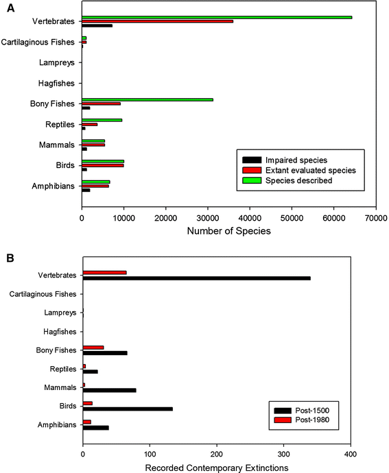Vertebrate biodiversity losses point to a sixth mass extinction