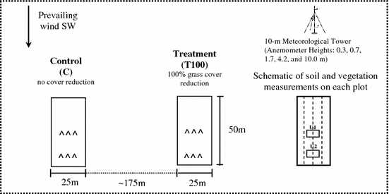 Effects Of Wind Erosion On The Spatial Heterogeneity Of Soil - open image in new window