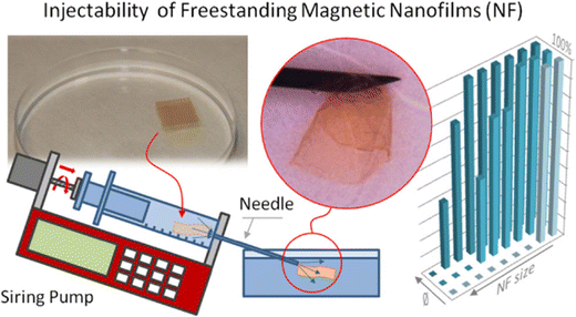 On the injectability of free-standing magnetic nanofilms ...