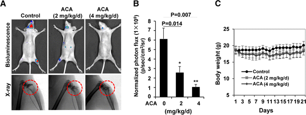Small Molecule 1 Acetoxychavicol Acetate Suppresses Breast Tumor Metastasis By Regulating The Shp 1 Stat3 Mmps Signaling Pathway Springerlink Small Molecule 1 Acetoxychavicol Acetate Suppresses Breast Tumor Metastasis By Regulating The Shp 1 Stat3 Mmps Signaling Pathway Springerlink