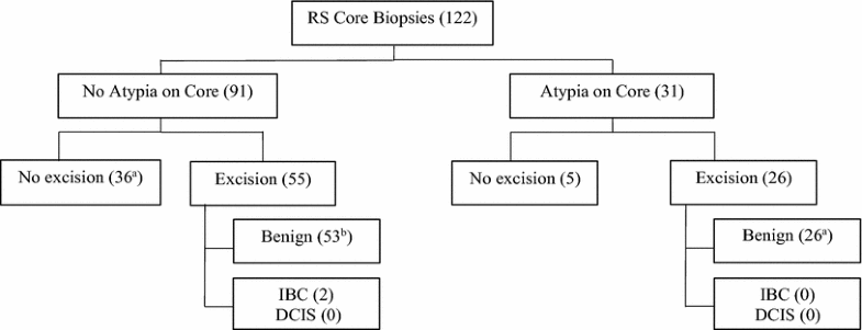 Radial scar on image-guided breast biopsy: is surgical excision ...