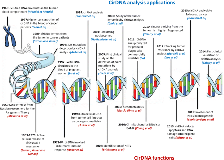 Dna discovery timeline essay