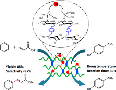 Thiol Functionalized Cross-Linked Chitosan Polymer Supporting Palladium for  Oxidative Heck Reaction and Reduction of p-Nitrophenol - Catal. Lett. -  X-MOL