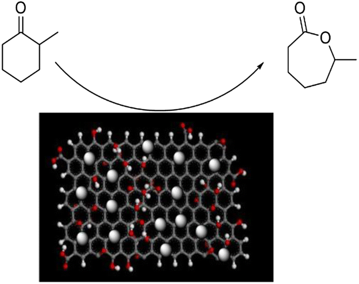 BaeyerVilliger Oxidation of Cyclohexanone by Hydrogen Peroxide with