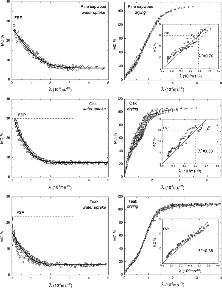 Bound and free water distribution in wood during water uptake and