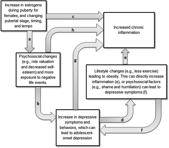 Adolescent Onset Depression Are Obesity And Inflammation