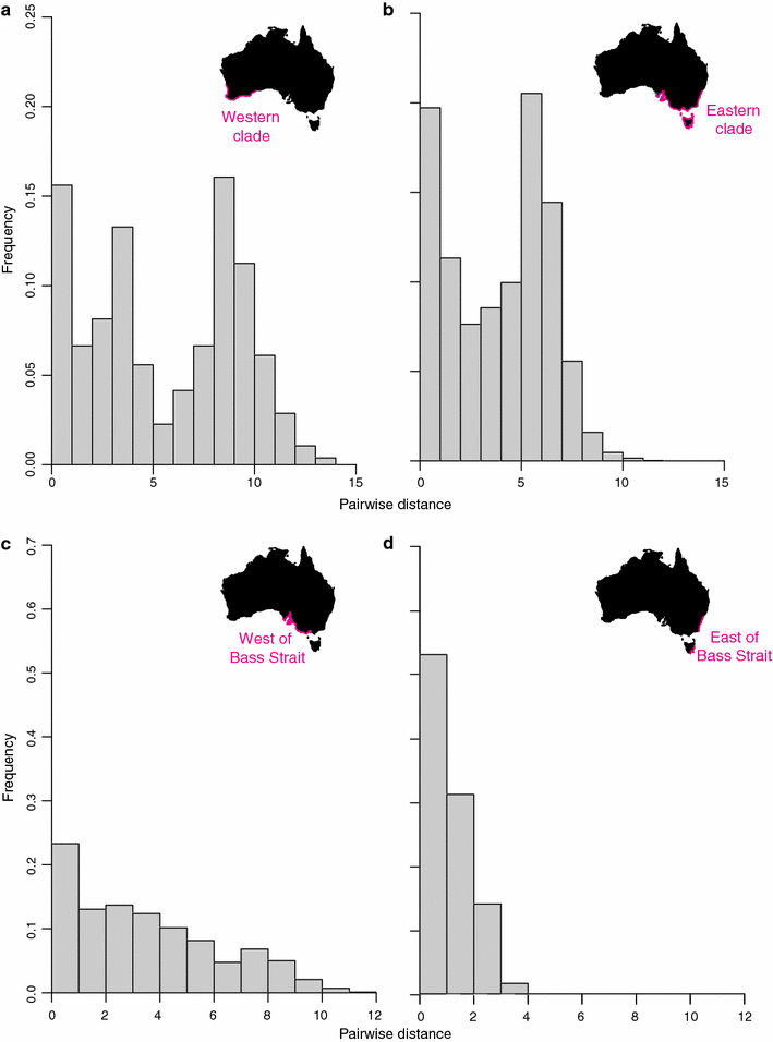 Barriers To Gene Flow In Common Seadragons Syngnathidae